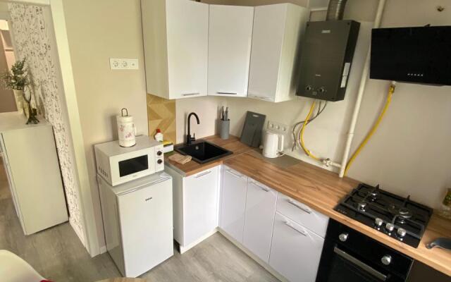 Na Lipovskoy 44 Apartments