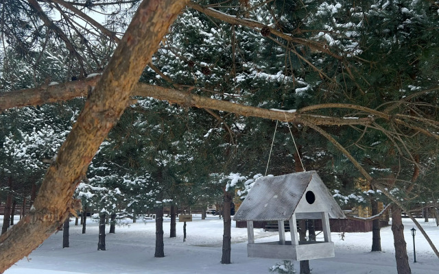 База отдыха Белая Морошка