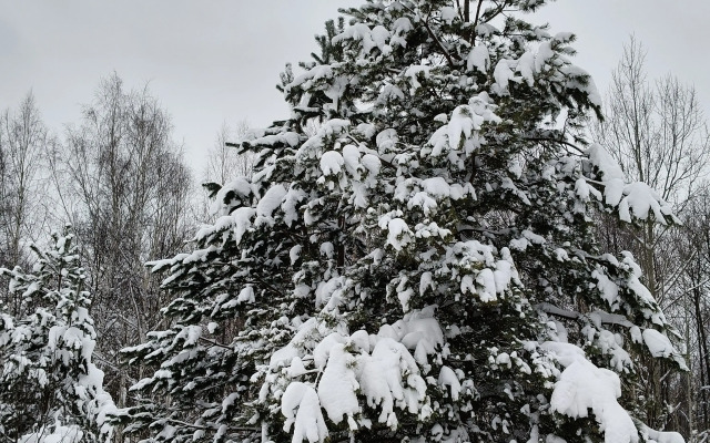 Частный Дом на Территории СНТ Сажени 52