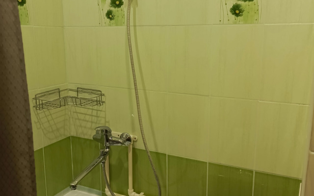 Uyutnaya odnokomnatnaya v Sputnike Flat
