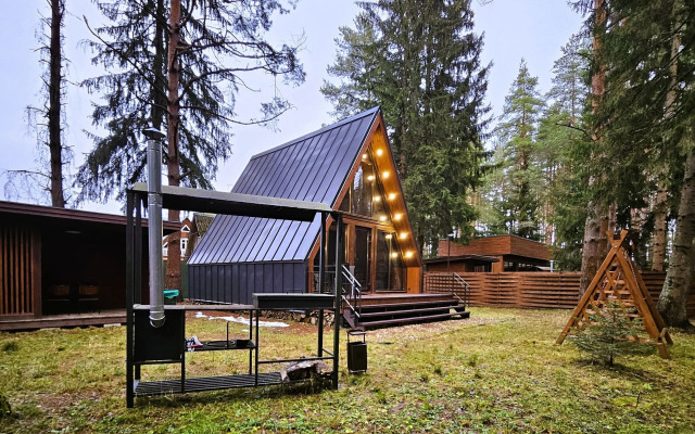 Частный дом темный А-фрейм