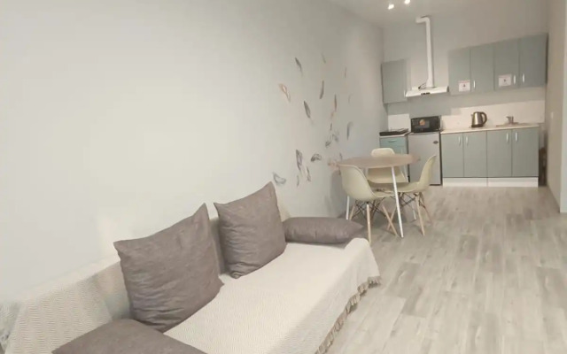 Квартира евро-двухкомнатная рядом с университетом