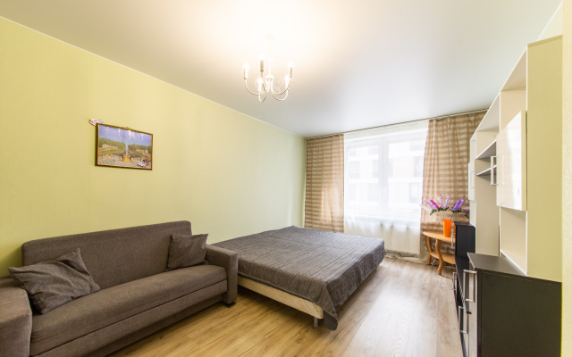 Na Moskovskom Vokzale Apartments