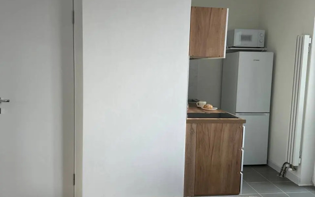 Studiya V Zhzh Prokshino Flat