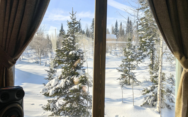 Частный дом Невесомость