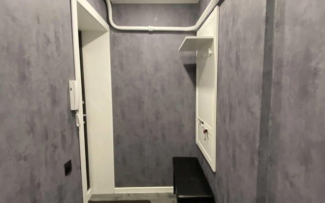 2-Kh Komnatnaya Kvartira V Samom Tsentre,45 M2 Flat