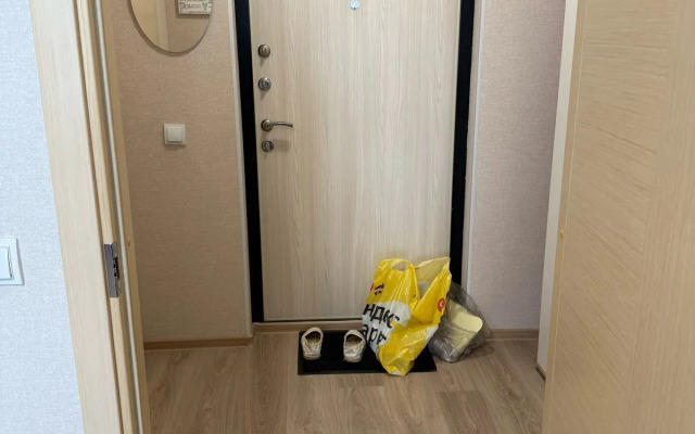 Квартира на Брюлловской 3