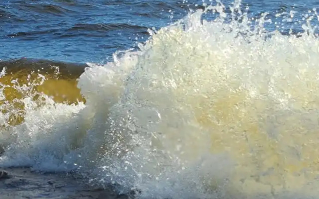 Гостевой дом Лисий берег