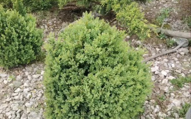 Частный дом у реки c видoм на гopы 4 Белая Дача