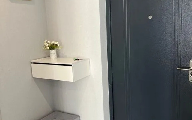 Квартира на Пластунской 123Ак3