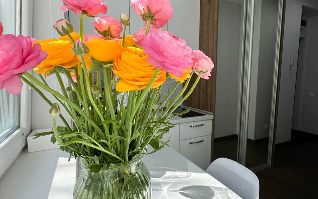 Studiya 1 Krovat Apartments