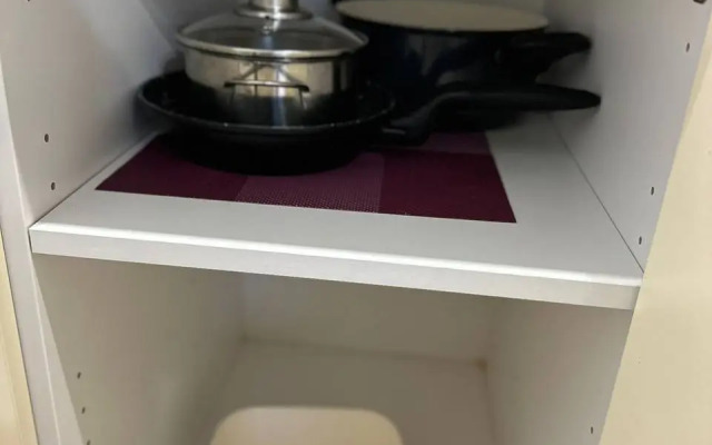 Studiya Okolo Ostrova Mechty I Parka Kolomenskoye Flat