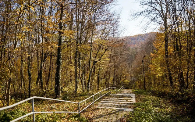 Gorny Vozdukh Recreation Camp