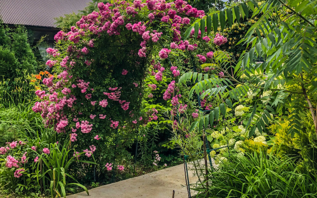 Гостевой дом Зелёный уголок