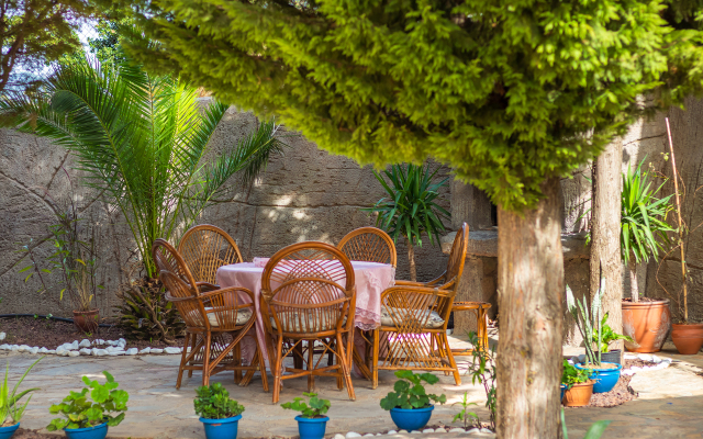 Windyhill Filizin Konagı