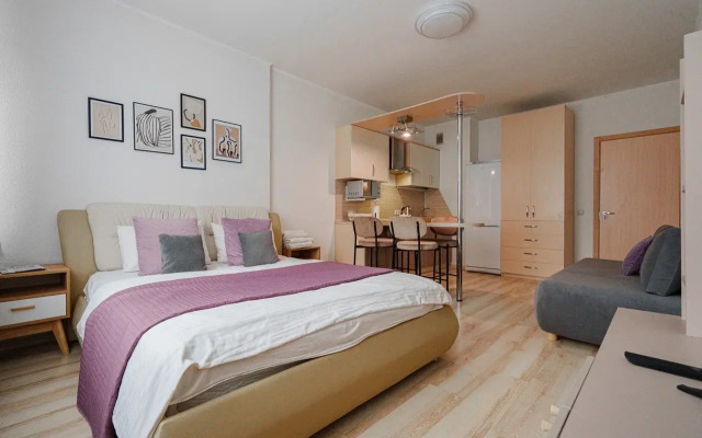 Апартамент UNO APART на Степана Разина 2 40 м²  2 кровати