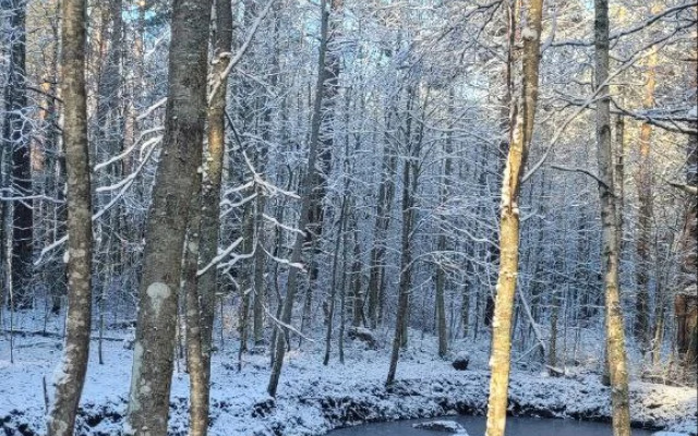 Частный дом Коттедж Аскелма-Ольха