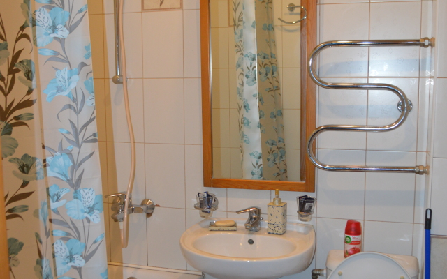 V Istoricheskom Tsentre Goroda Flat