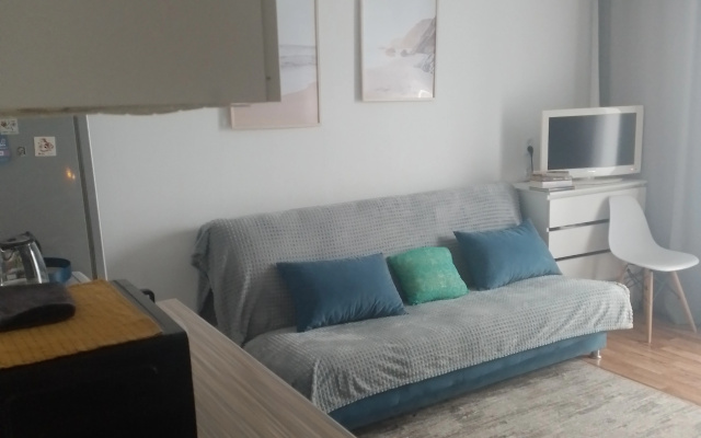 Uyutnaya Studiya Flat - Apartment in 科佩伊斯克 - Photo 5