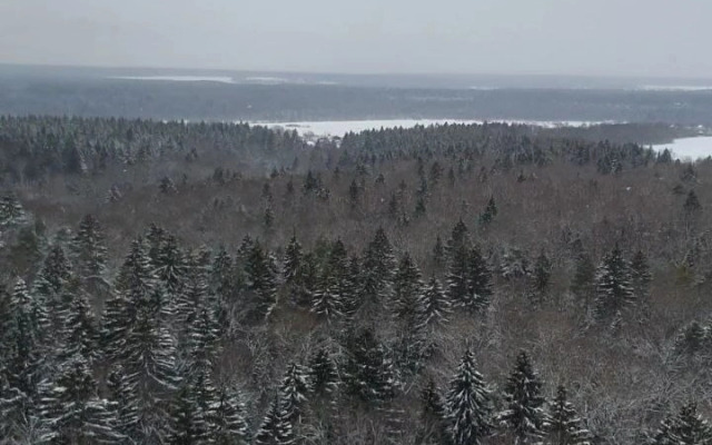 Квартира С Прекрасным Видом на Природу