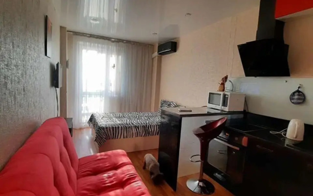 Uyutnaya Studiya V Tsentre Goroda Flat