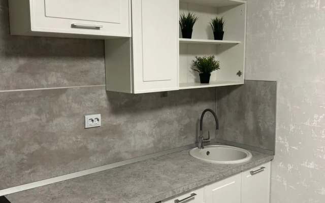 3-Kh Komnatnye U Aeroporta Apartments