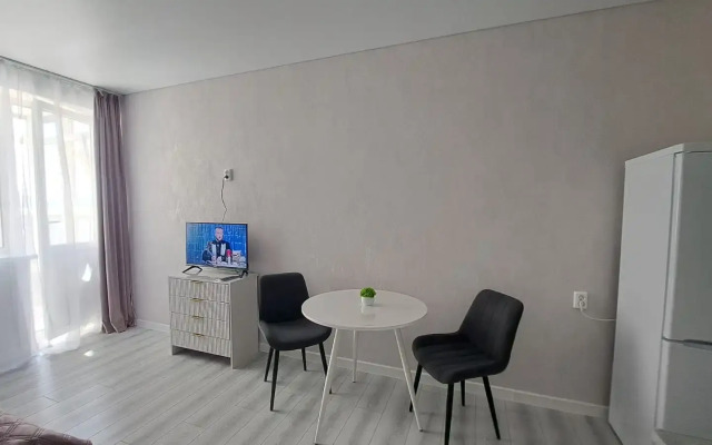 Novaya Uyutnaya studiya Flat