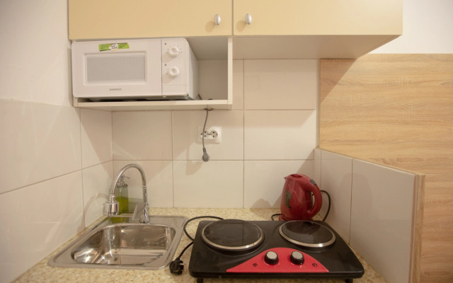 Апартаменты Студия Владимирский