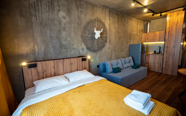 Апартаменты Бизнес Студия с Проектором №298-1