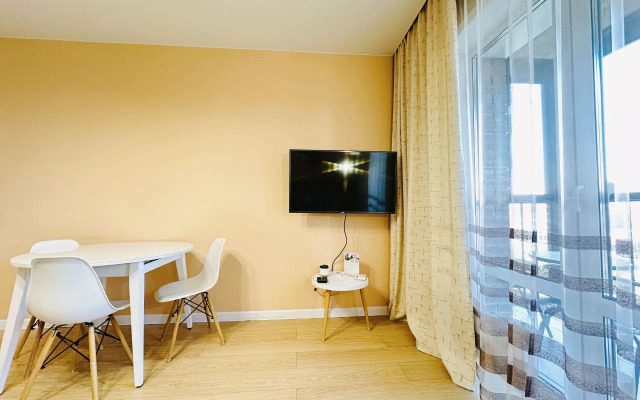 Nasutki38 Lyuks v Tsentre s vidom Apartments