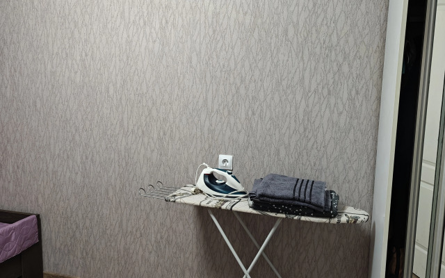 U Muzeya Yantarya Flat