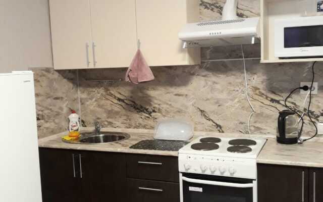 Studiya Na Raskolnikova 48/1 Apartments