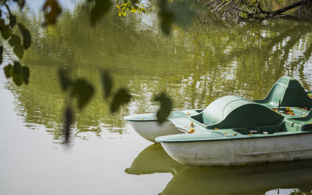 Отель Rico Rancho