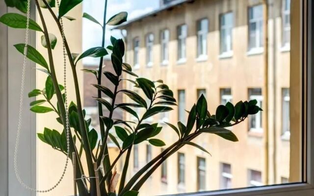 Квартира в Коломне с видом на крыши