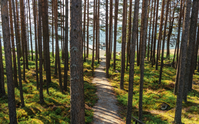 Шале Green Club Family Karelia