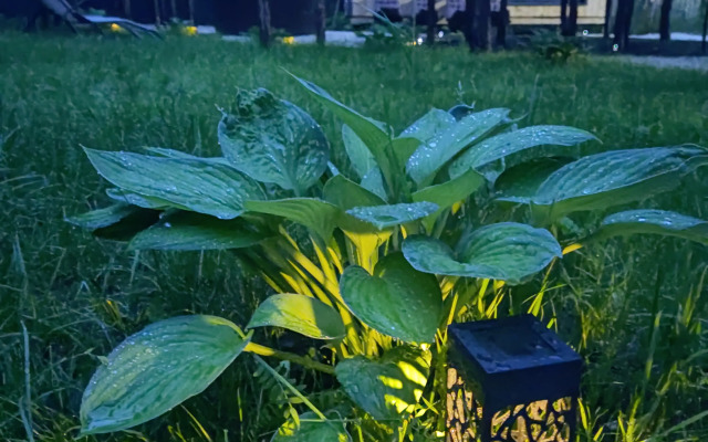 Частный дом Лови момент