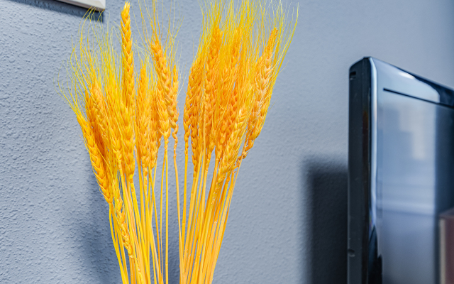 Квартира Submarine PRO MAX