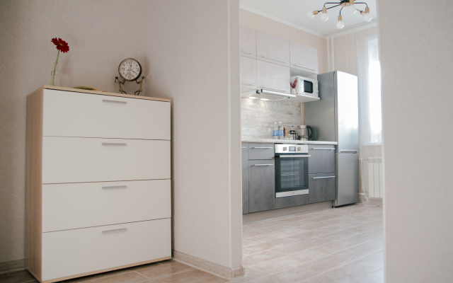 Апартаменты Argentum Home Дудинская 2