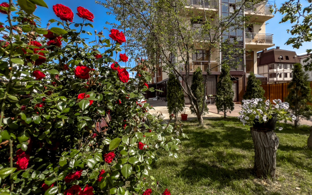 V Siriuse v Peshey Dostupnosti ot Morya Apartments