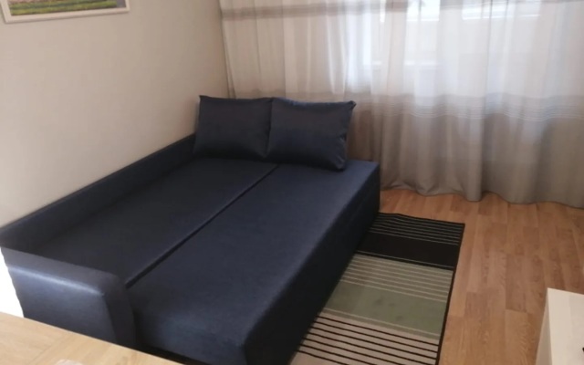 Comfortable Studio Vladimir Apartments