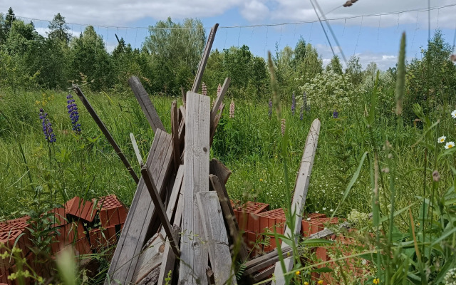 Частный дом Кипарис на поле