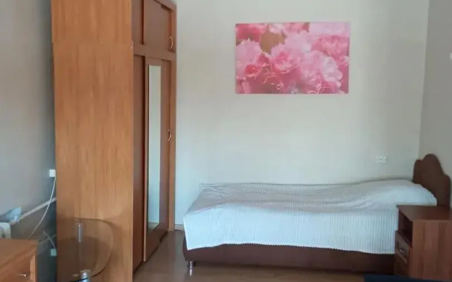 V Tsentre Goroda Flat