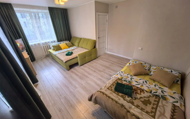 Komfortnaya V Tsentre Pushkino Na Moskovskom Flat