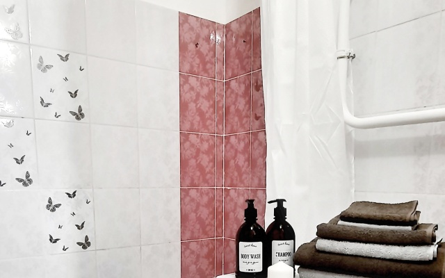 Odnokomnatnaya V Tsentralnom Rayone Goroda Flat
