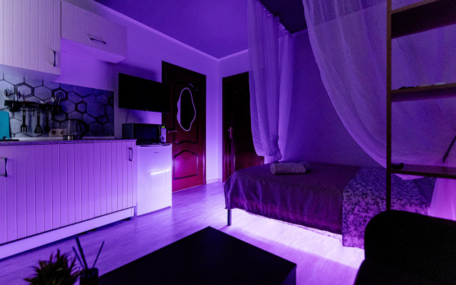 Апартаменты улица Жуковского 309