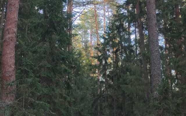 Частный Дом Сосны