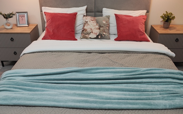 Апартаменты Двухкомнатные стильные у КВЦ Экспофорум ВГостиВПитер