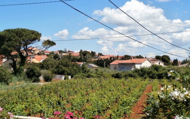 Agava Istria Apartments