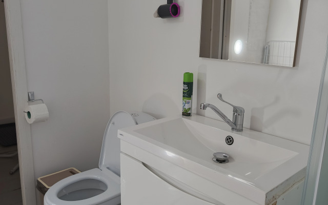 Частный дом Гостевой дом Купца колбасника Комарова