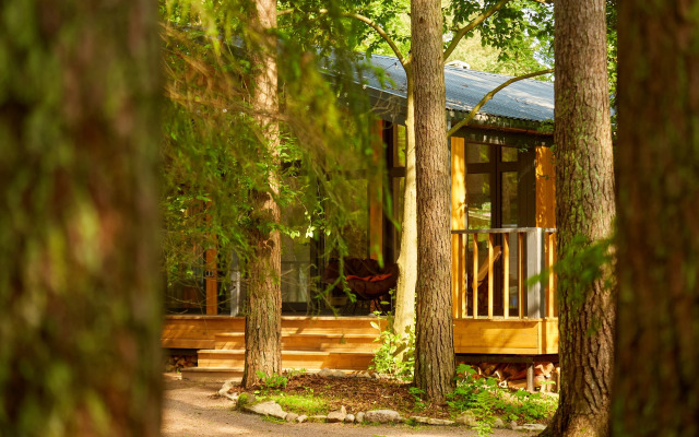 Bolshaya Repinskaya Dacha v Lesu Private House